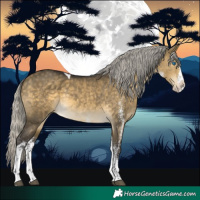 Horse Color:White Spotted Silver Buckskin Dun Mushroom Splash Tobiano