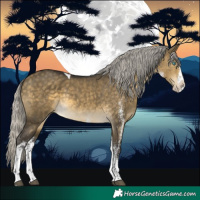 Horse Color:White Spotted Silver Buckskin Dun Mushroom Splash Tobiano 