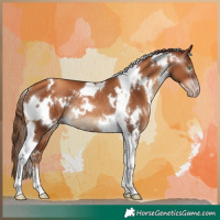Horse Color:Gray White Spotted Gold Champagne Tobiano Rabicano