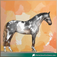 Horse Color:Gray White Spotted Liver Chestnut 