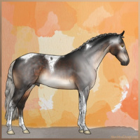 Horse Color:Gray Silver Brown Tobiano 