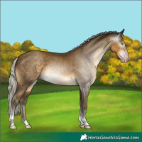 Horse Color:Gray Silver Classic Cream Champagne Tobiano 