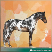 Horse Color:Gray White Spotted Liver Chestnut