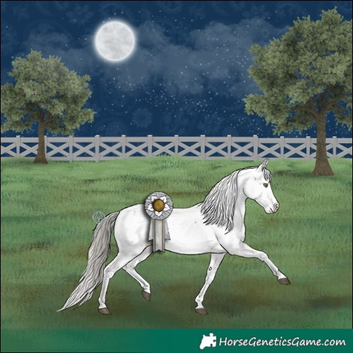 Horse Color:Liver Chestnut Mushroom Sabino 