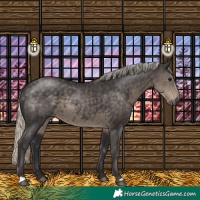 Horse Color:Silver Smoky Black 