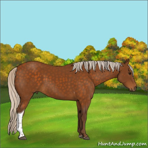 Horse Color:Silver Buckskin Tobiano 
