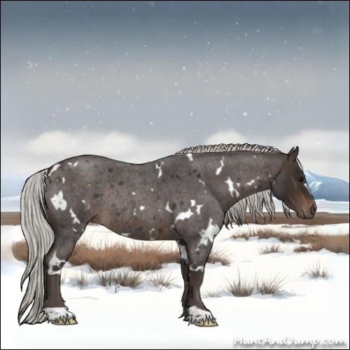 Horse Color:White Spotted Silver Brown Roan Rabicano 
