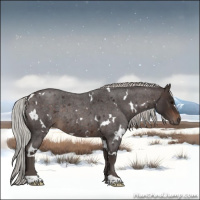 Horse Color:White Spotted Silver Brown Roan Rabicano 