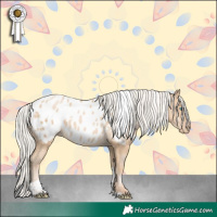 Horse Color:White Spotted Silver Buckskin Pearl Tobiano Blanket 