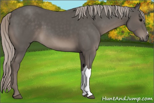 Horse Color:Silver Black 