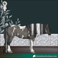 Horse Color:White Spotted Grullo Tobiano