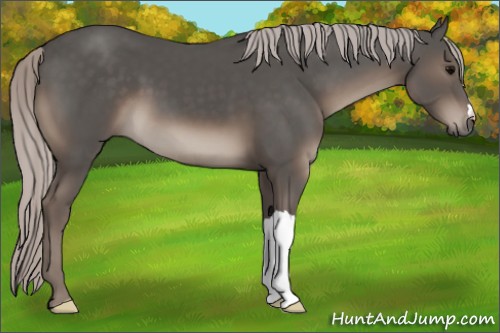 Horse Color:Silver Black 