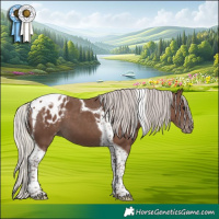 Horse Color:Silver Black Tobiano Blanket 