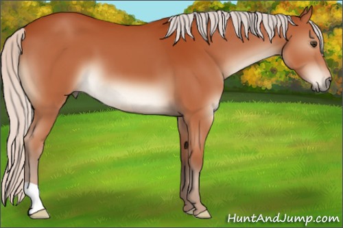 Horse Color:Silver Brown 