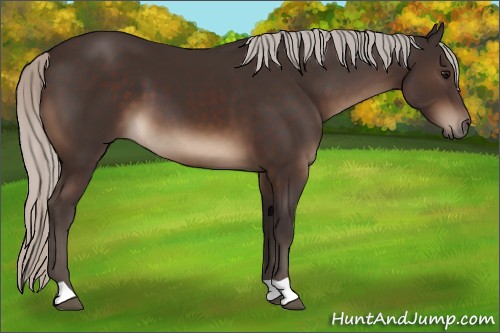 Horse Color:Silver Brown 