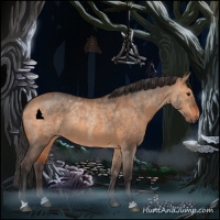Horse Color:Brown Dun and Brown Dun