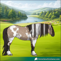 Horse Color:White Spotted Liver Red Dun 