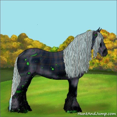 Horse Color:ERROR: UNKNOWN ANOMALY