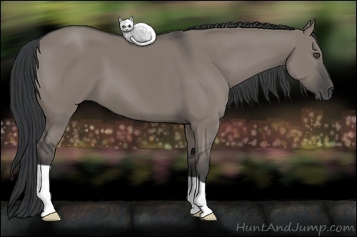 Horse Color:Grullo 