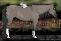Horse Color:Grullo 