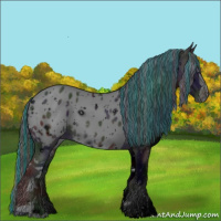 Horse Color:ERROR: UNKNOWN ANOMALY