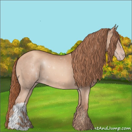 Horse Color:Gold Champagne 