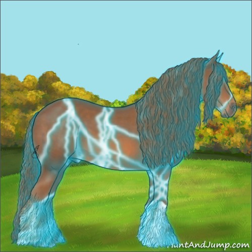 Horse Color:Thunderstruck Chestnut 