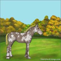 Horse Color:Painted Silver Black Ice Sabino 