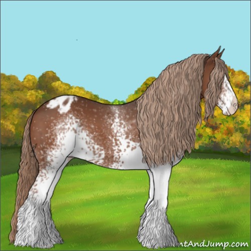 Horse Color:ERROR: UNKNOWN ANOMALY