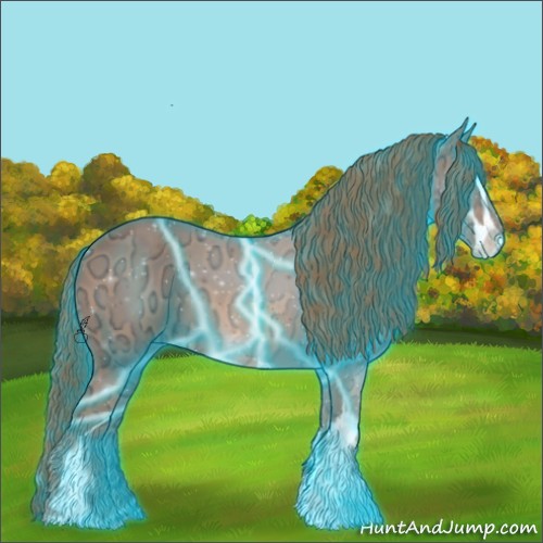 Horse Color:Thunderstruck Chestnut Ice Sabino 