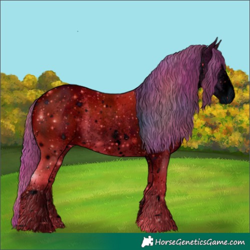 Horse Color:ERROR: UNKNOWN ANOMALY