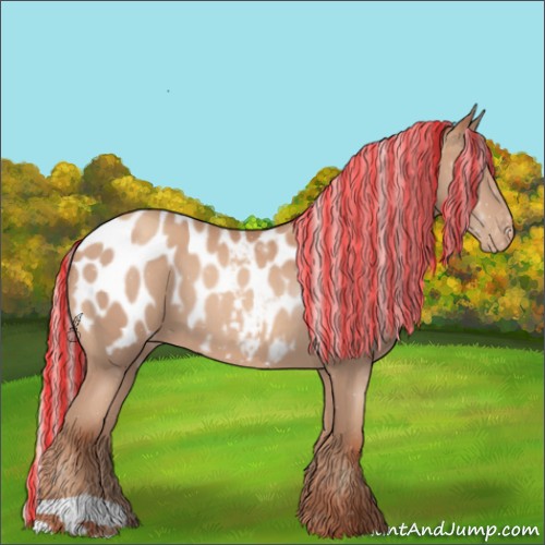 Horse Color:ERROR: UNKNOWN ANOMALY