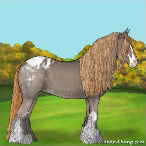 Horse Color:Painted Silver Grullo Sabino Appaloosa 