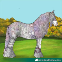 Horse Color:Nacre Watercolor Silver Classic Champagne Ice Dun Sabino 
