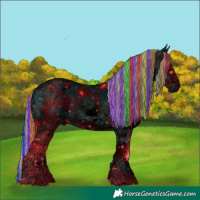 Horse Color:ERROR: UNKNOWN ANOMALY