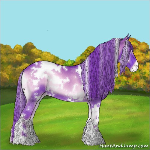 Horse Color:Watercolor White Spotted Red Onyx Appaloosa 