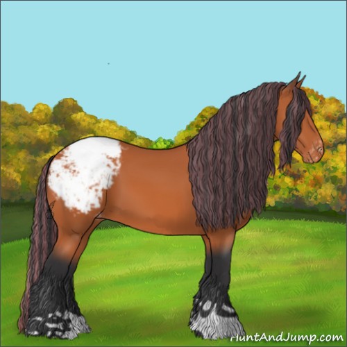Horse Color:Painted Bay Appaloosa 