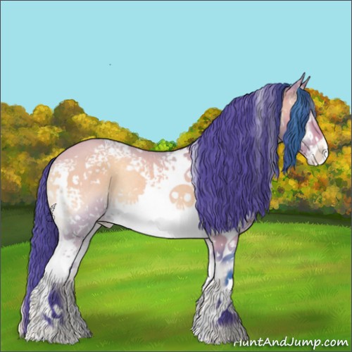Horse Color:Watercolor White Spotted Bay Onyx Appaloosa Rabicano 