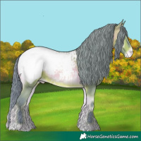Horse Color:Watercolor Brown Onyx Appaloosa Rabicano 