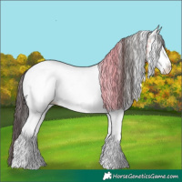 Horse Color:White Spotted Bay Snowcap 