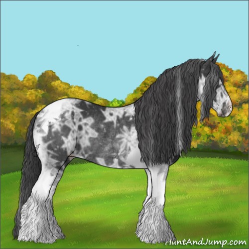 Horse Color:Black Ice Tobiano Appaloosa Rabicano 