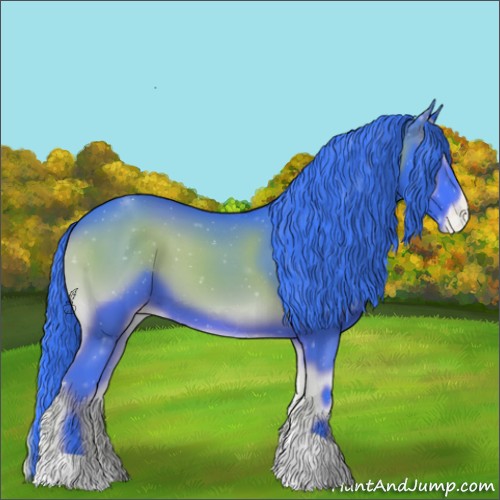 Horse Color:Watercolor Blue Onyx Appaloosa 