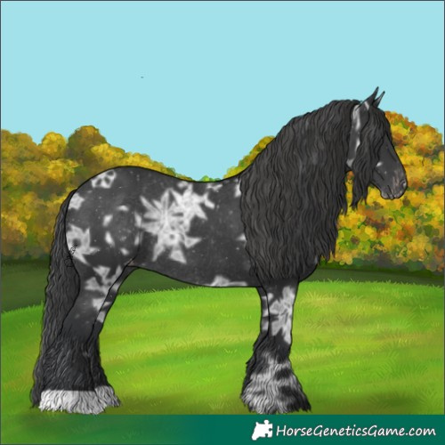 Horse Color:Black Ice Varnish Rabicano 