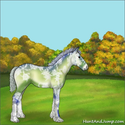 Horse Color:Watercolor Silver Bay Ice Onyx 