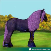 Horse Color:ERROR: UNKNOWN ANOMALY