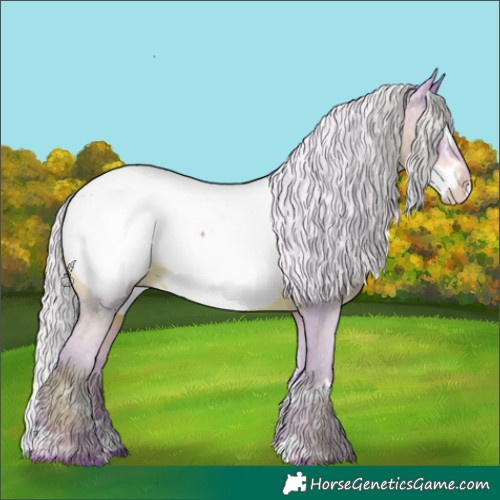 Horse Color:Watercolor Silver Black Frame Appaloosa 