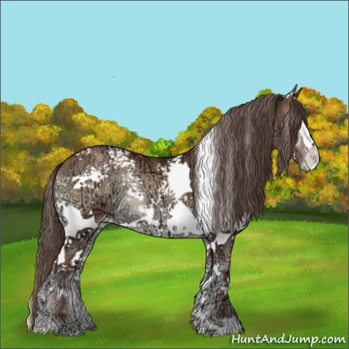 Horse Color:White Spotted Blue Onyx Ice Pearl Appaloosa 