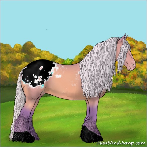 Horse Color:Watercolor Silver Bay Mushroom Appaloosa 