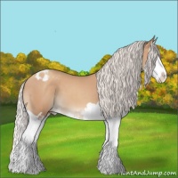 Horse Color:Silver Classic Champagne Splash Appaloosa 