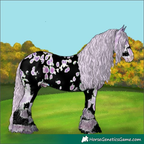 Horse Color:Watercolor White Spotted Silver Black Frame Appaloosa 